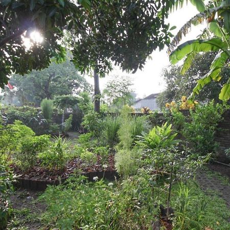 Bhumi Hostel Yogyakarta Exteriér fotografie
