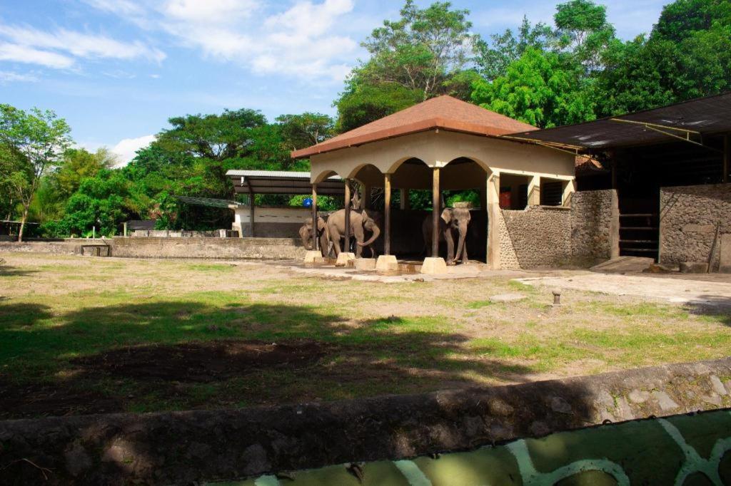 Bhumi Hostel Yogyakarta Exteriér fotografie