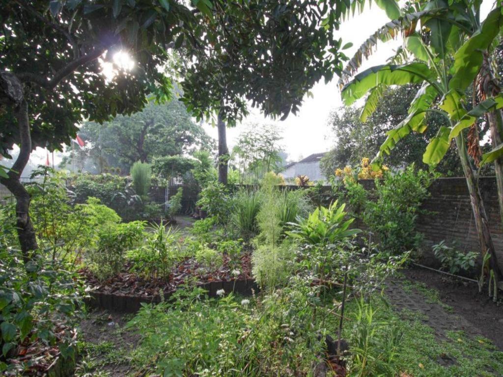 Bhumi Hostel Yogyakarta Exteriér fotografie